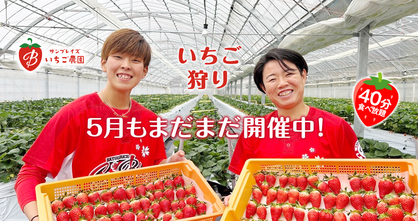 サンブレイズ　いちご農園